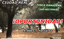 265898