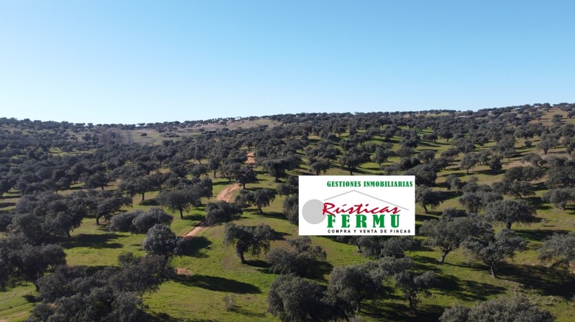 DCIM100MEDIADJI_0056.JPG